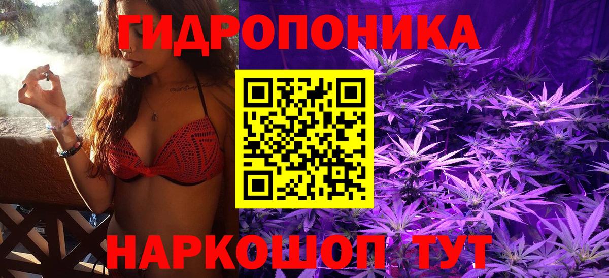 Великие Луки  Канабис VHQ  Канабис OG Kush  Марихуана OG Kush  Вход с VPN  МАРИХУАНА THC 21% 